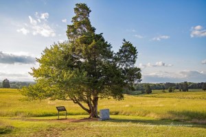 Manassas National Battlefield Park