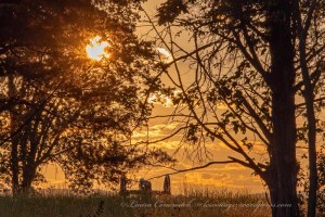 Manassas National Battlefield Park