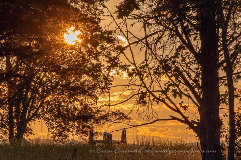Manassas National Battlefield Park
