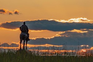 Manassas National Battlefield Park