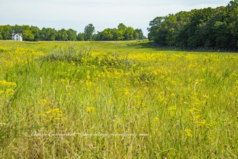 Manassas National Battlefield Park