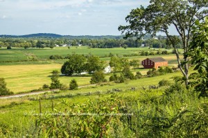 Gettysburg National Military Park