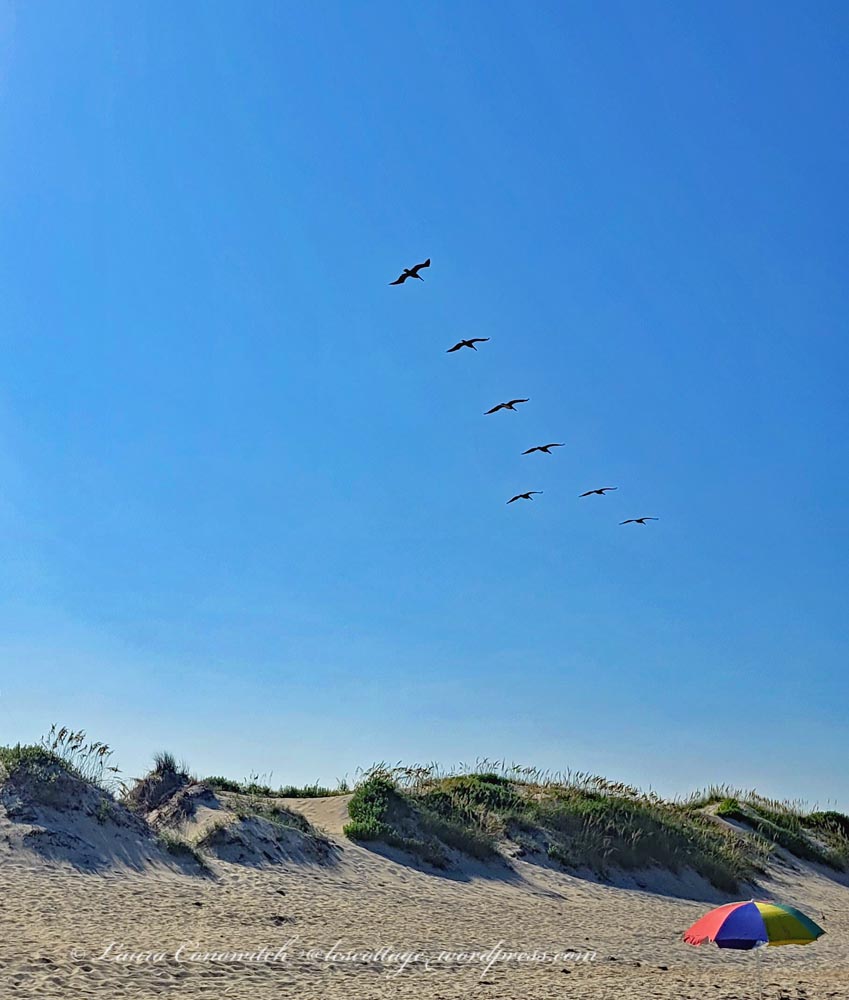 Coquina Beach North Carolina