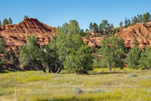 Devils Tower Wyoming