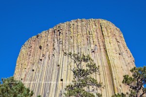 Devils Tower Wyoming