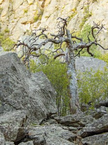 Devils Tower Wyoming