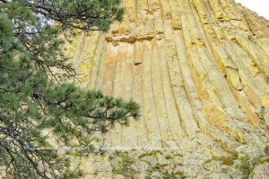 Devils Tower Wyoming