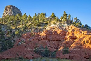 Devils Tower Wyoming
