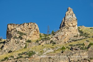 Bighorn National Forest