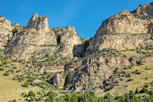 Bighorn National Forest