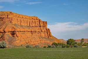 Bighorn National Forest