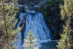 Douglas Falls Scenic Drive