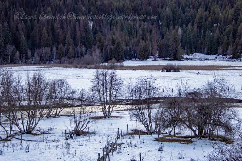 Douglas Falls Scenic Drive