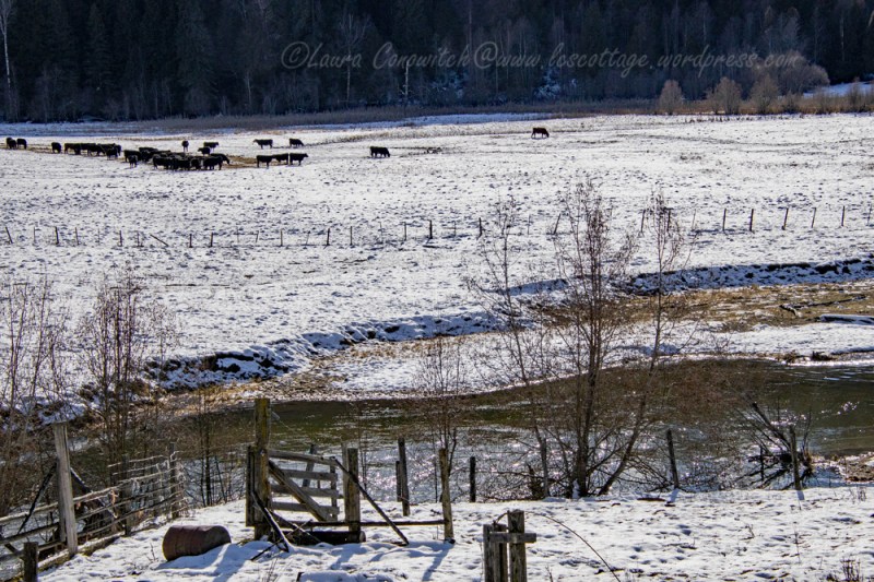 Douglas Falls Scenic Drive