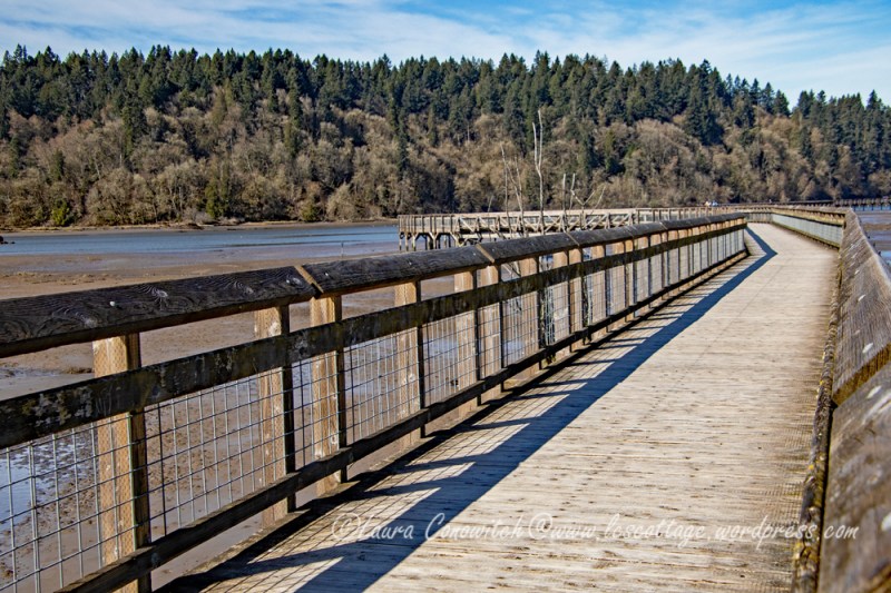 Nisqually Wildlife Refuge