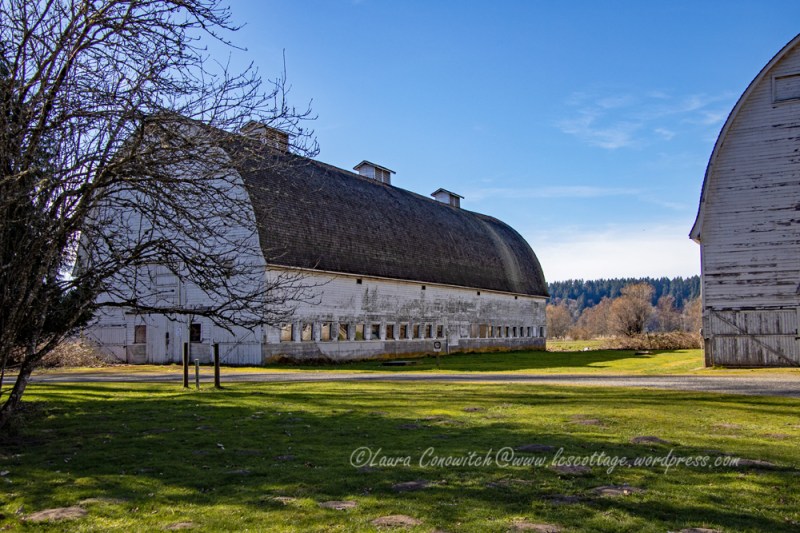 Nisqually Wildlife Refuge
