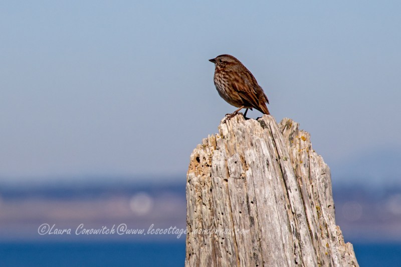 Fort Worden State Park