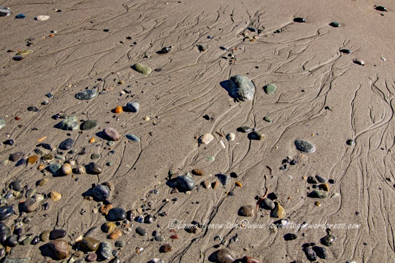 Fort Worden State Park