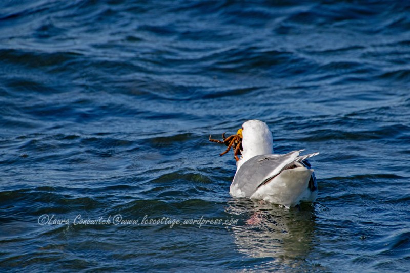 Fort Worden State Park