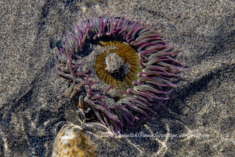 Fort Worden State Park