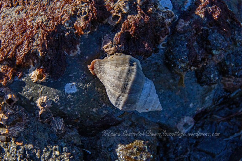Fort Worden State Park