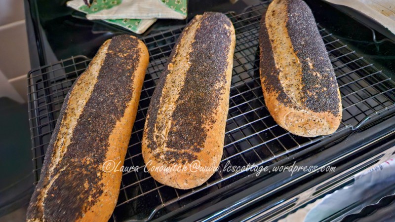 Poppy Seed and Rye Bread