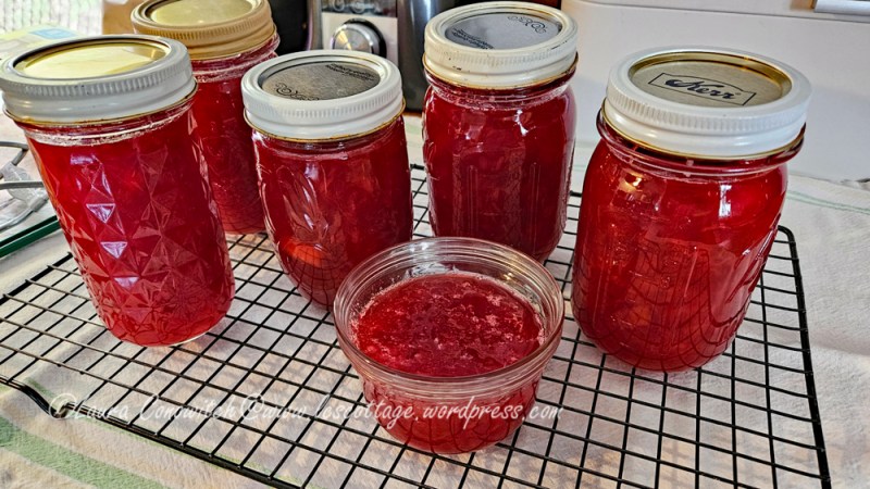 Rhubarb, Strawberry and Pineapple Jam