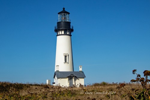Yaquina Head Lighthouse