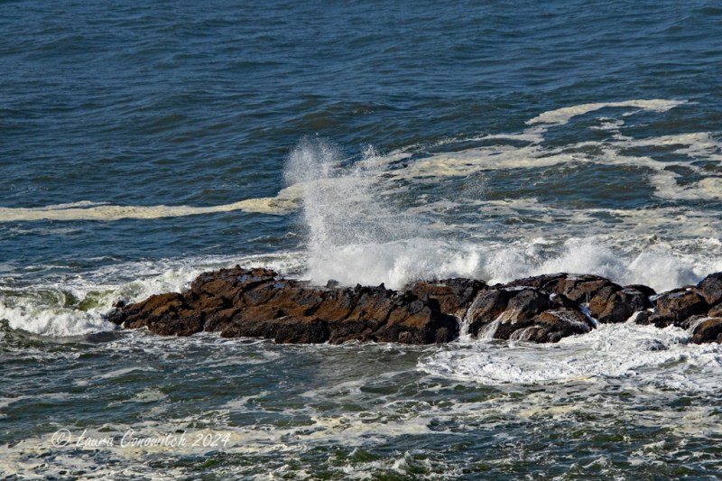 Yaquina Head Lighthouse