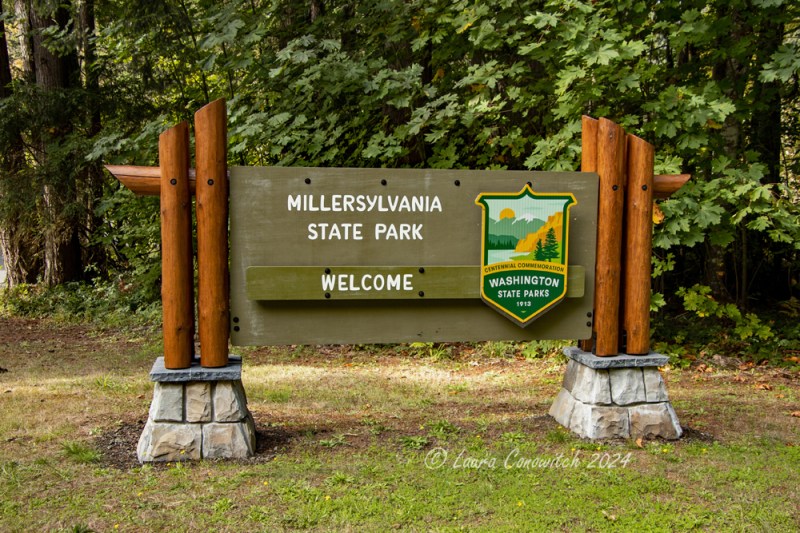 Millersylvania State Park