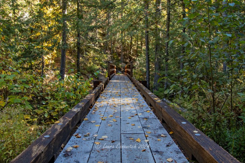 Trout Lake_Hoodoo Canyon
