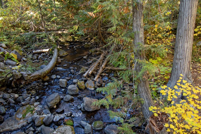 Trout Lake_Hoodoo Canyon