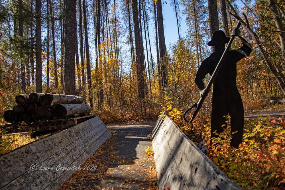 Log Flume Heritage Site