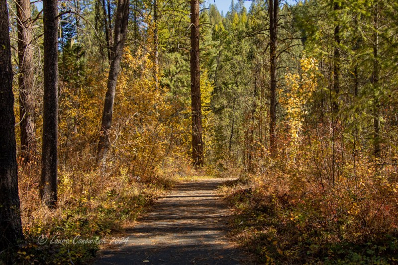 Log Flume Heritage Site