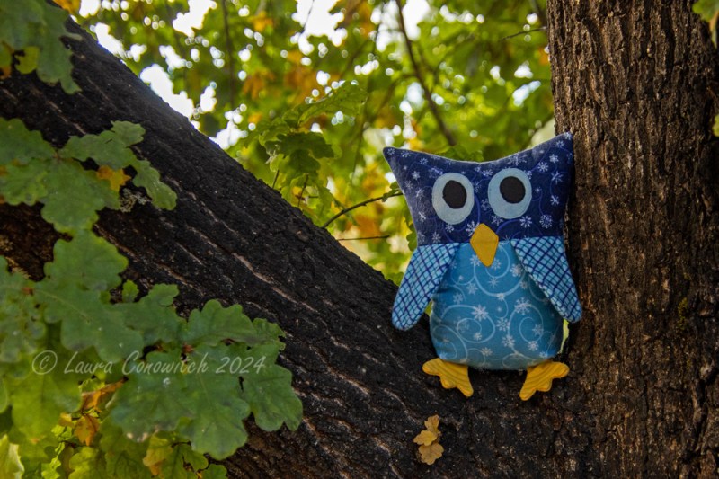 Who What and Where Owls