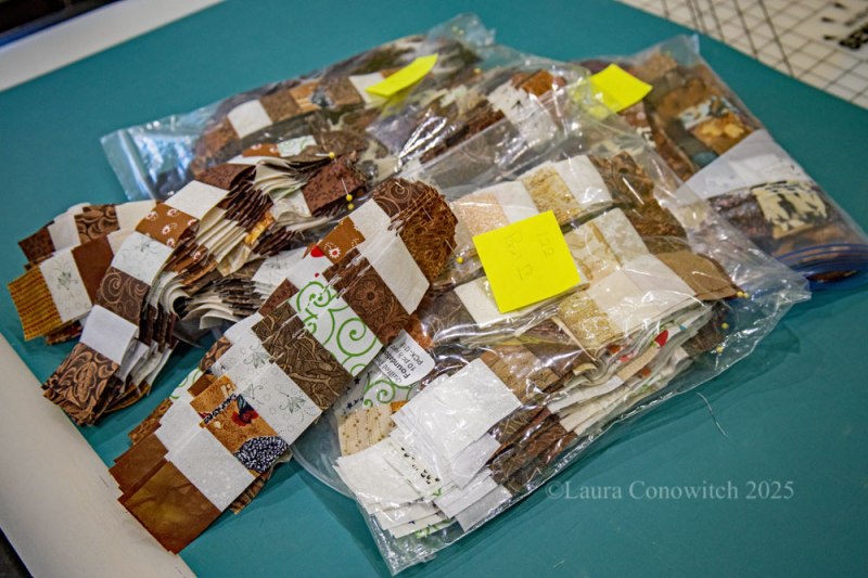 Bonnie Hunter Silk Path Pattern