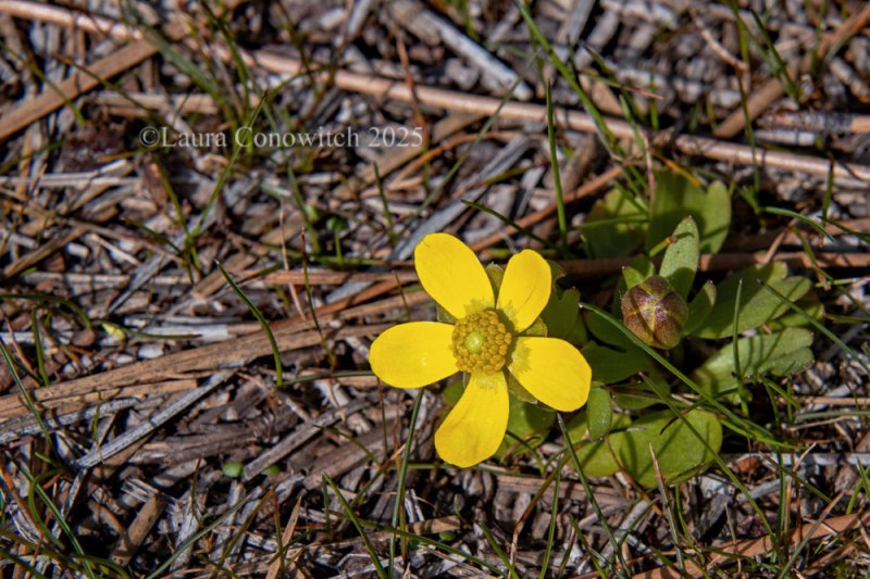 Turnbull National Wildlife Refuge