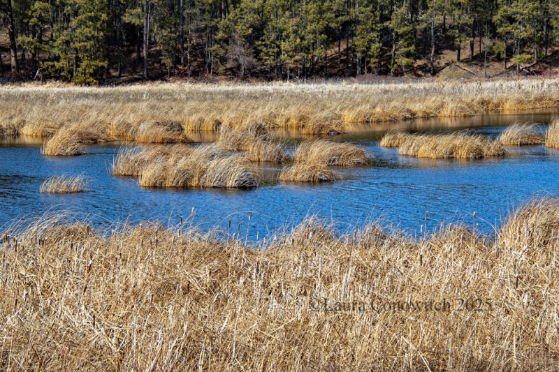 Turnbull National Wildlife Refuge