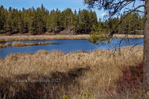 Turnbull National Wildlife Refuge