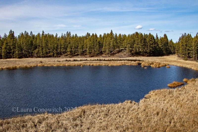 Turnbull National Wildlife Refuge