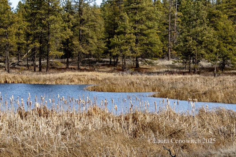 Turnbull National Wildlife Refuge