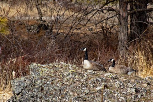 Turnbull National Wildlife Refuge