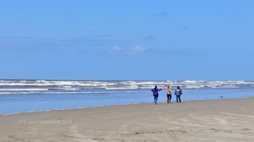 Bolstad Ocean Beach Washington State