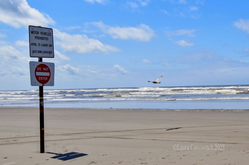 Bolstad Ocean Beach Washington State