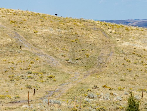 Fort Phil Kearny, Wyoming