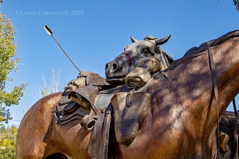 D. Michael Thomas_Buffalo, Wyoming