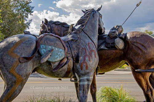 D. Michael Thomas_Buffalo, Wyoming