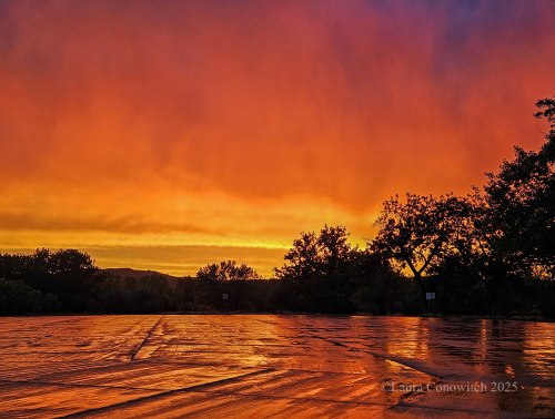 Huntley Rest Area, Montana
