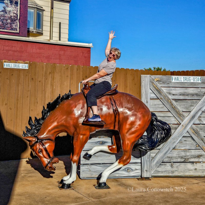 Wall Drug, South Dakota