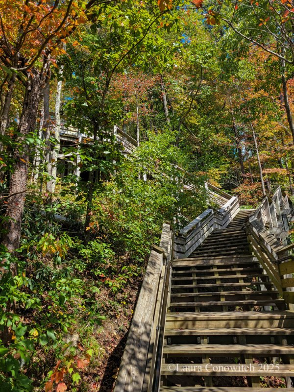 New River Gorge Bridge